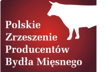 news cover 804